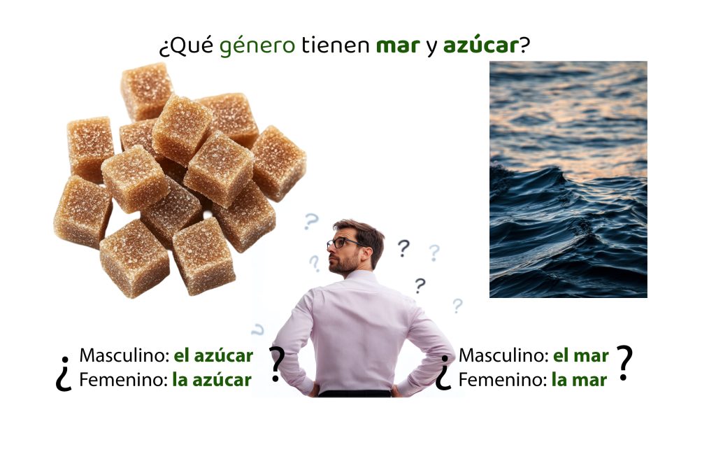 El genero de palabras como azúcar y mar